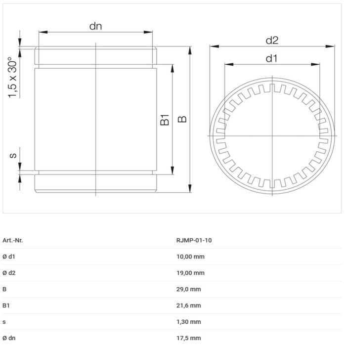 Cojinete linear Igus RJMP-01-10